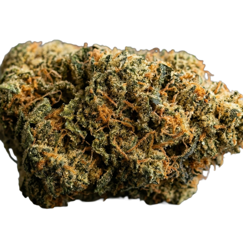 Apulico Gold Bud Transparent