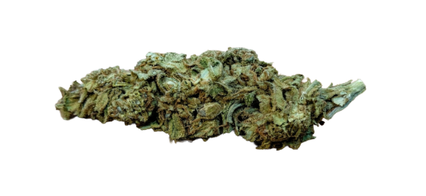 Outdoor Bud amnesia Transparent