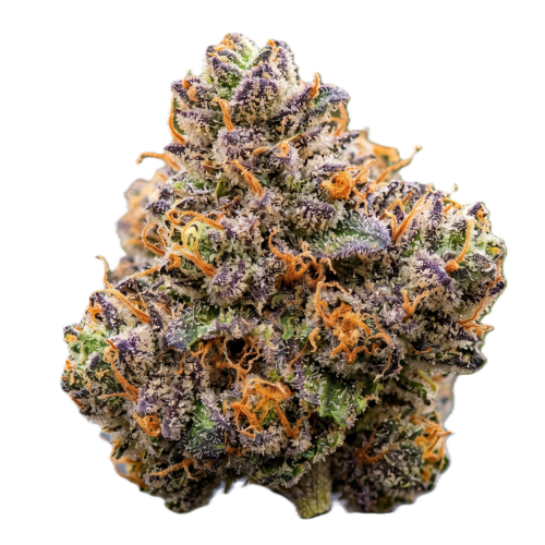 PG Sunshine Sherbet Transparent