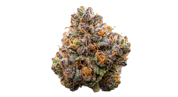 PG Sunshine Sherbet Transparent