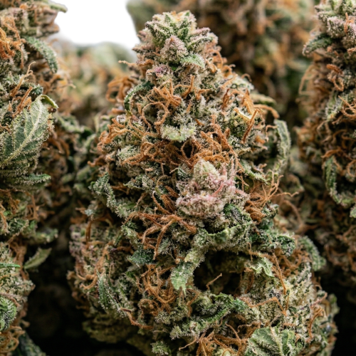 Strawberry Sugar Cookies Bud Transparent