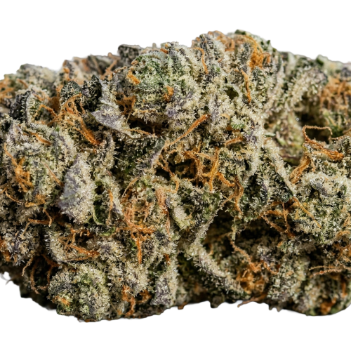 Sugar Cookies Bud Transparent