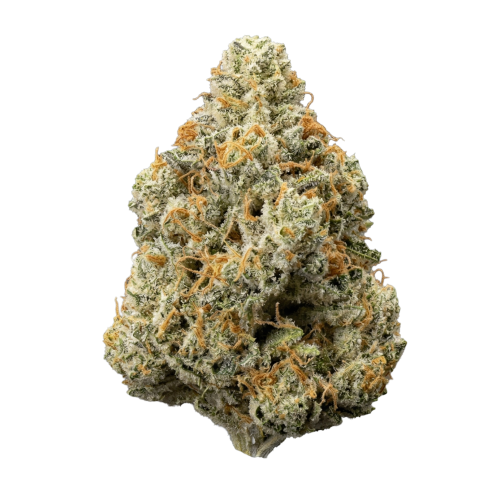 Francos Lemon Cheese Transparent(Bud)