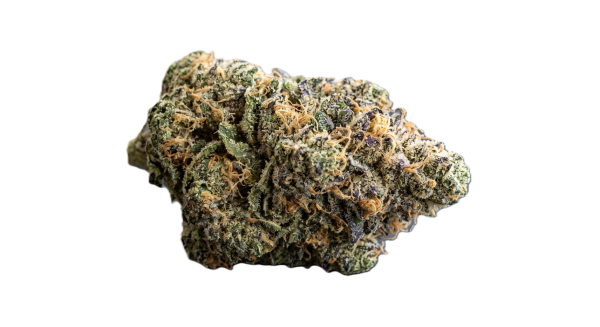 GDF Gorilla Butter Transparent