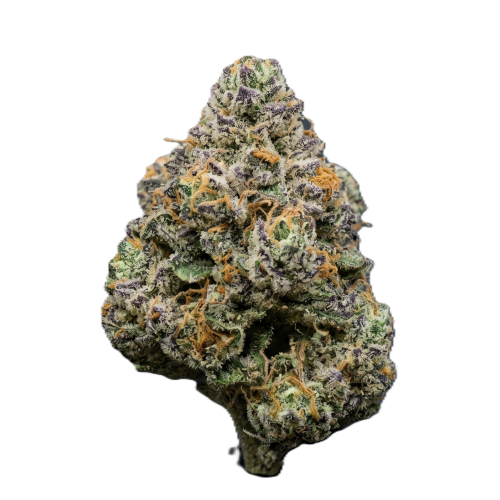 GDF Sugar Cookies Transparent