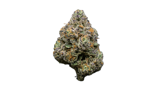 GDF Sugar Cookies Transparent