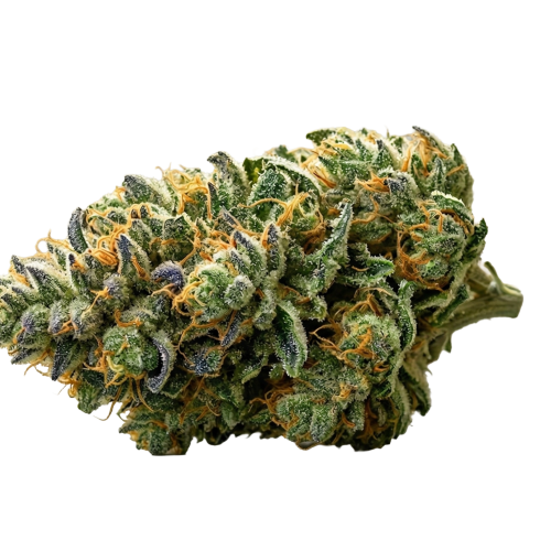 Green Goddes Bud Transparent