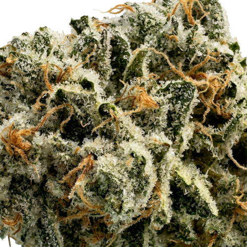 Ice Queen Bud Transparent