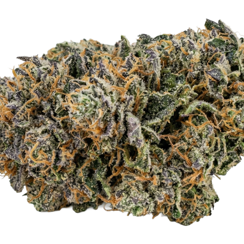 Master Piece Bud Transparent