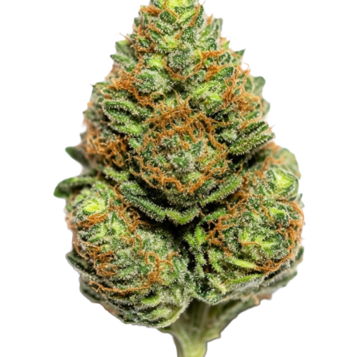 Strawberry Cough Bud Transparent