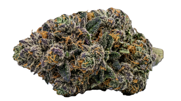 GDF Planet of the Grapes Transparent