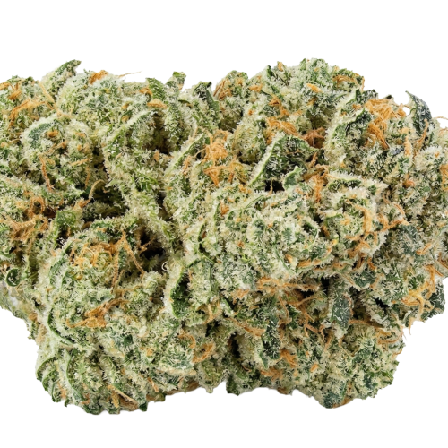 Brie Cheese Bud Transparent