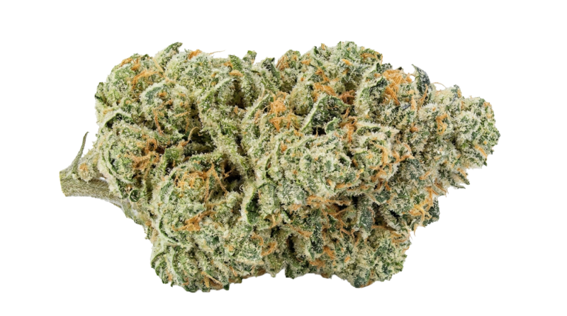Brie Cheese Bud Transparent