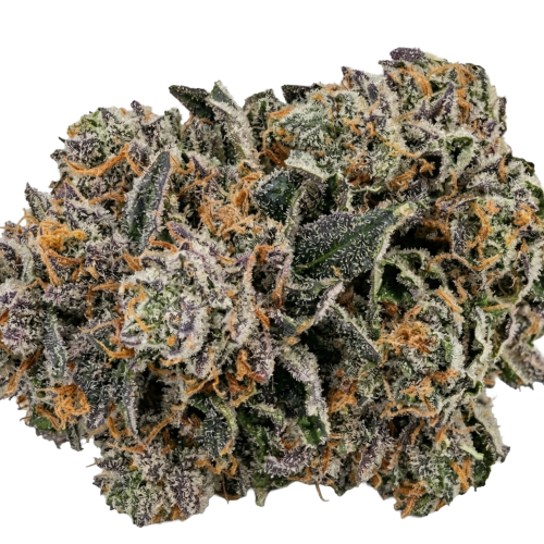 Slurbert Bud Transparent