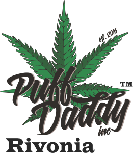 PD Rivonia Logo Transparent